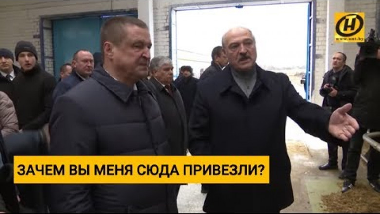 Президент Беларуси пустил 'под нож' чинуш, которые превратили ферму в 'коровий Освенцим" (18+)